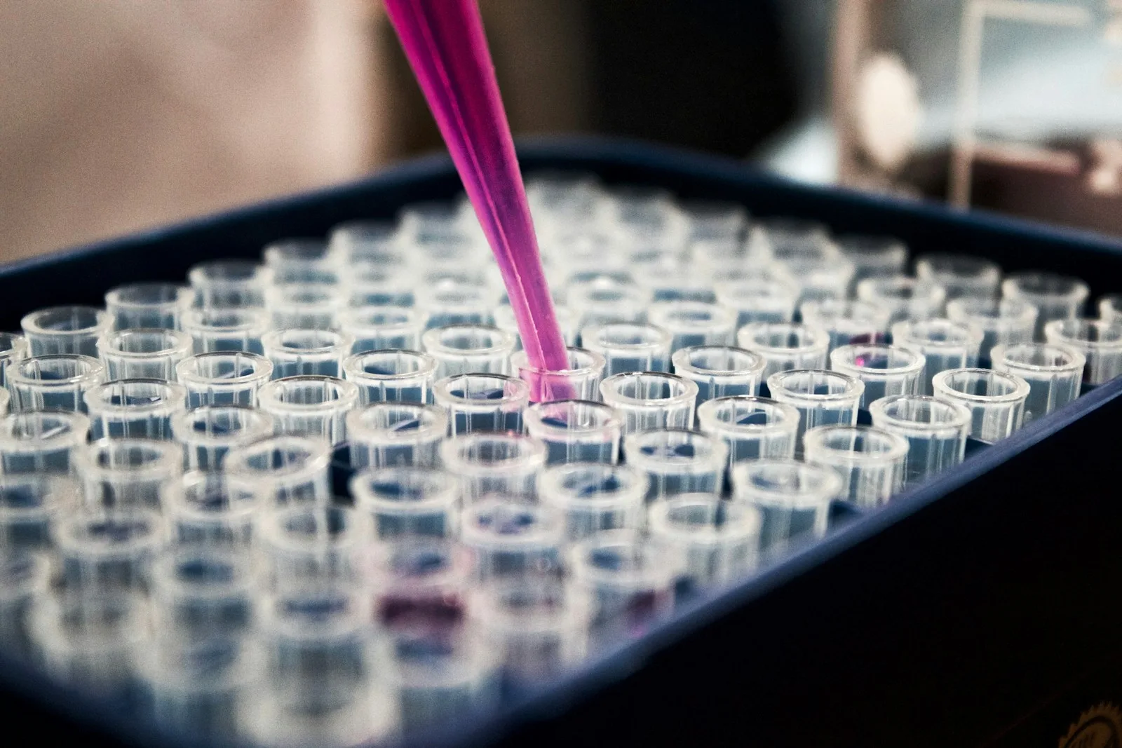 Healthcare & Life Sciences