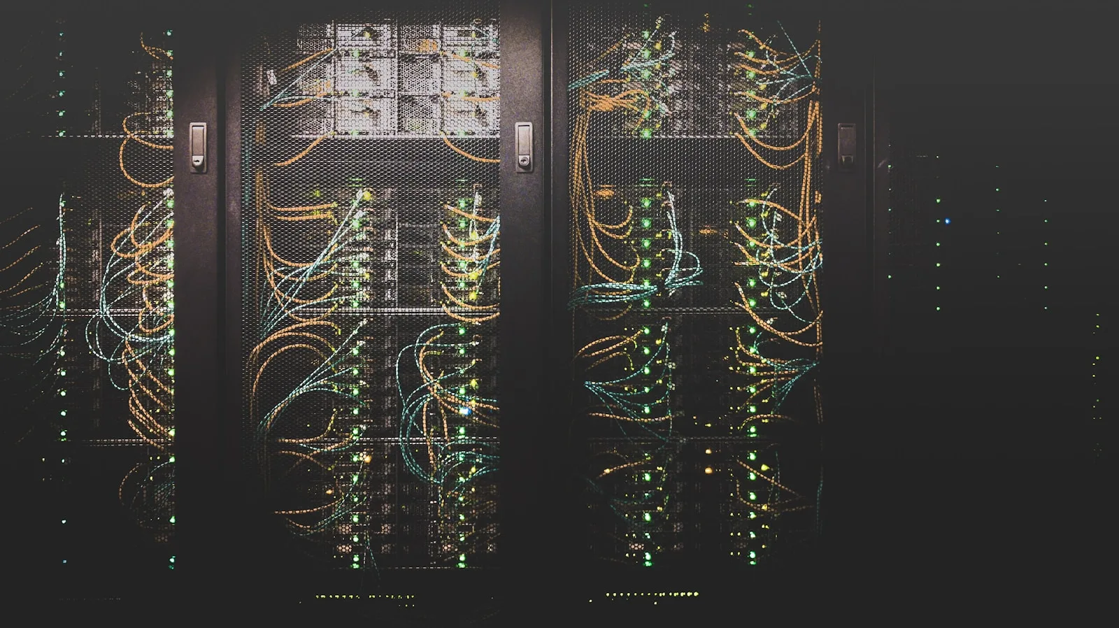 IT & Software