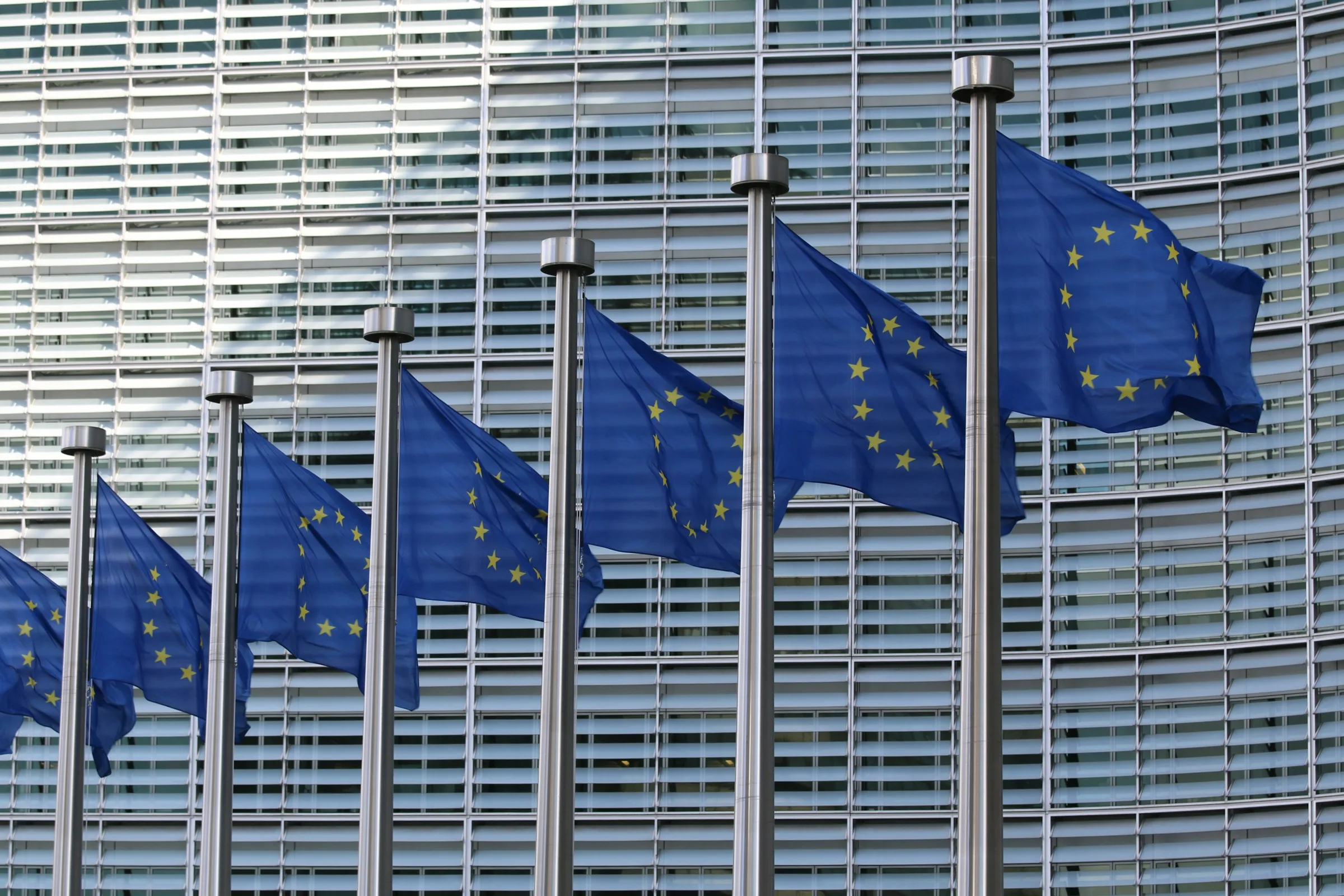 Row of European Union flags outside an institution
